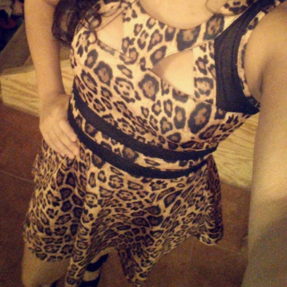 Animal Print Dress